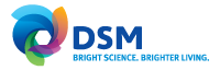 DSM_MasterLogo